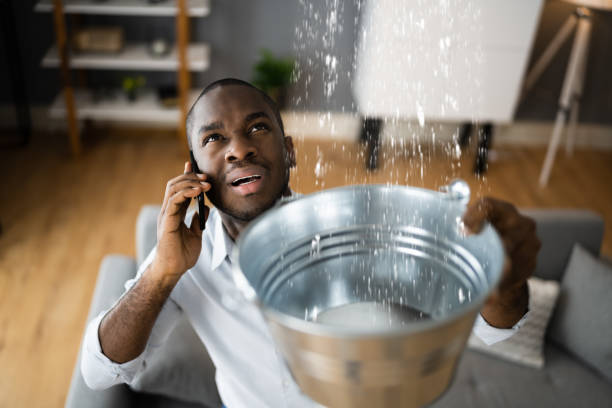 Best Basement water damage restoration  in Clymer, PA