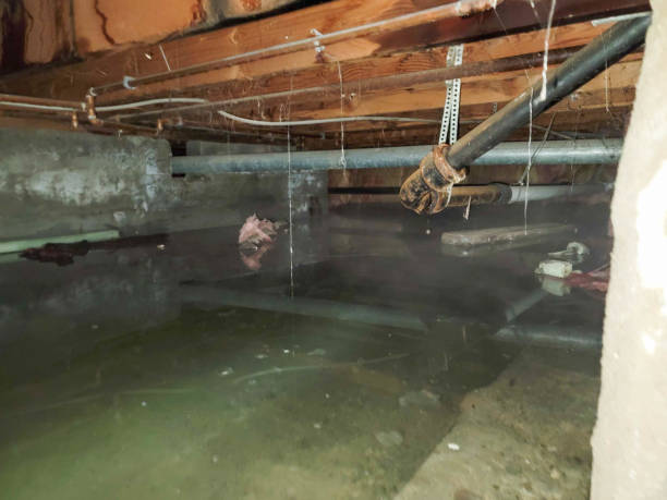 Best Water damage contractors near me  in Clymer, PA