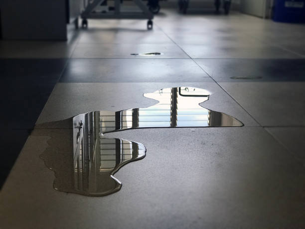Best Professional water damage repair  in Clymer, PA