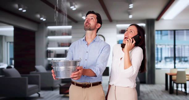 Best Local water damage restoration  in Clymer, PA